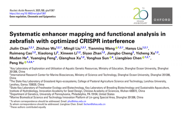 申城科研团队找出调控鱼类性状发育的“荫藏按钮”，异日鱼类育种或有大不同！